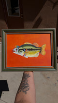 Clown Fish Print