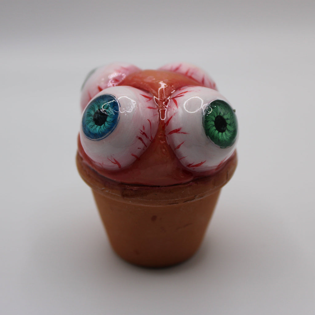 Mult-eye Cact-eye