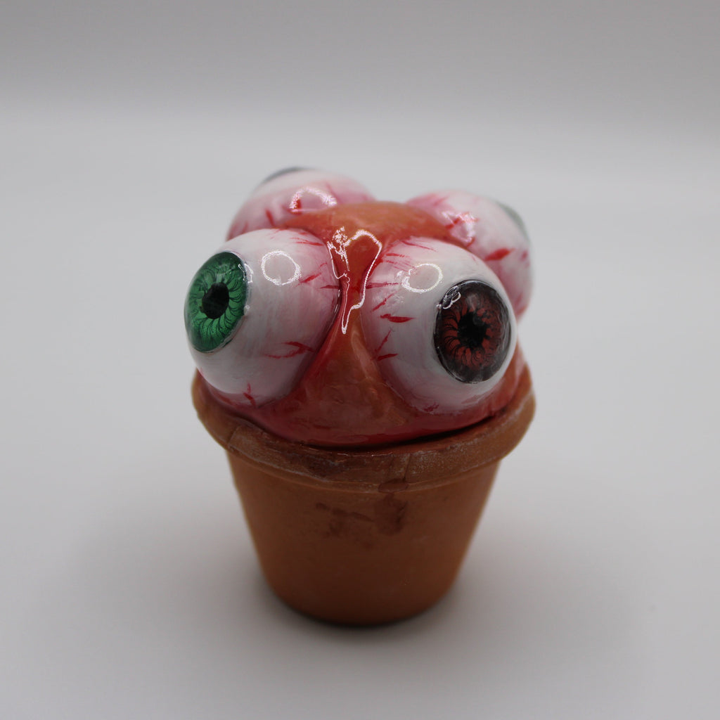 Mult-eye Cact-eye