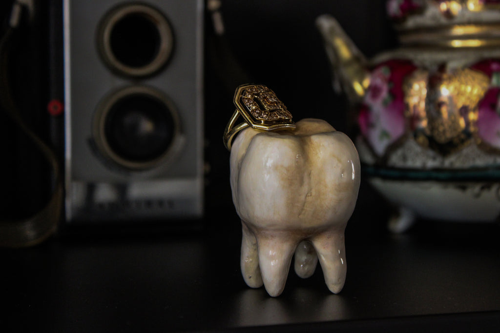 Ring Holder Tooth