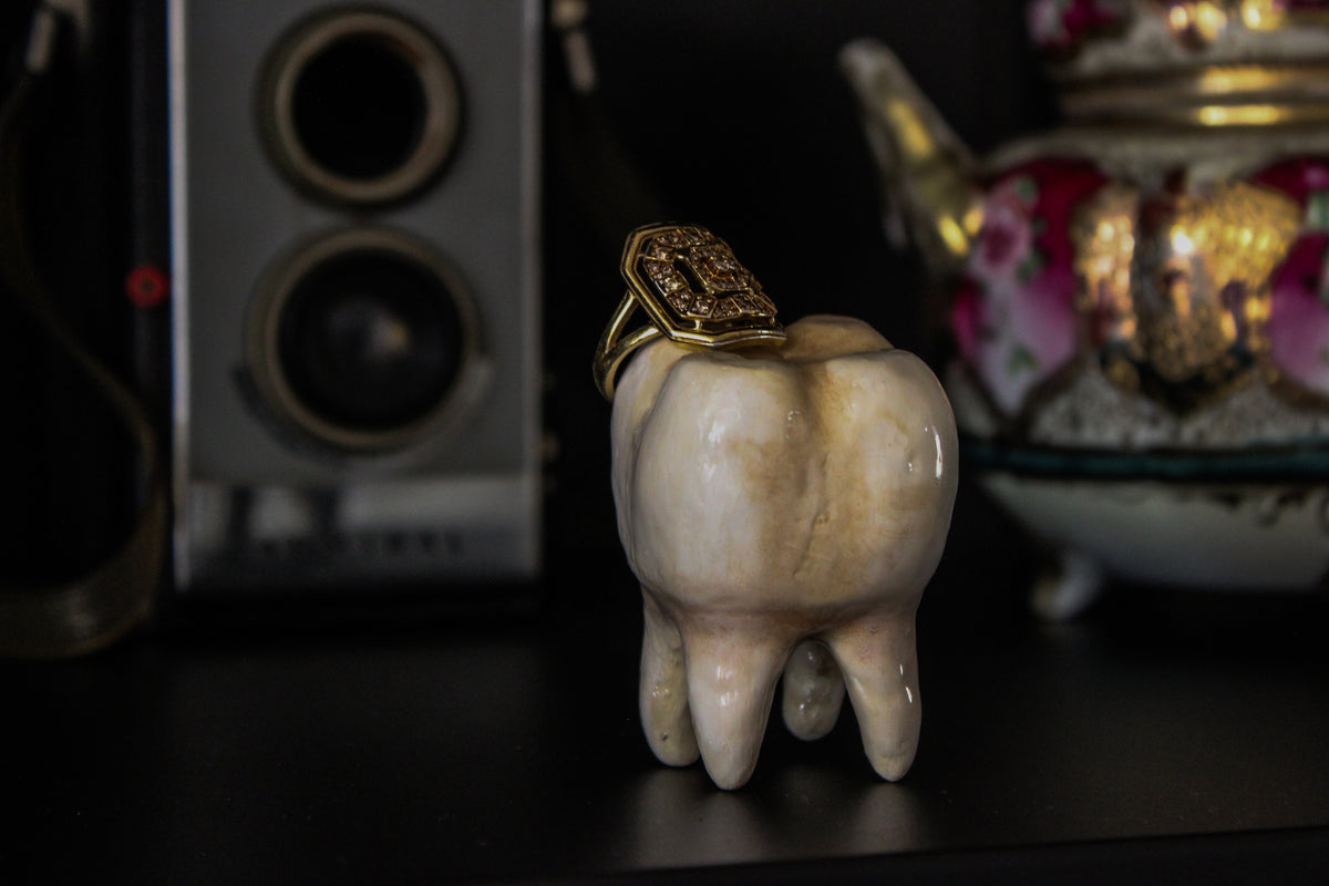Ring Holder Tooth