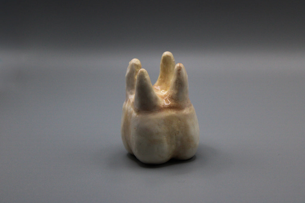 Ring Holder Tooth